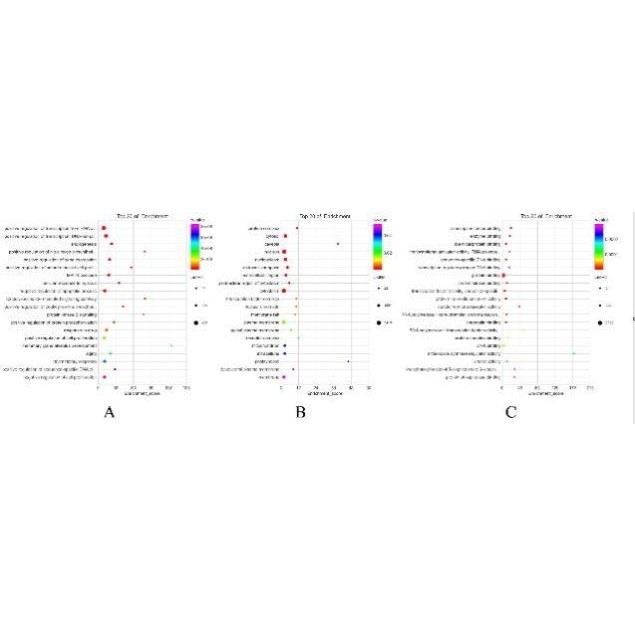 16s qiime2从原始序列开始(生成otu表、代表性序列和注释表).