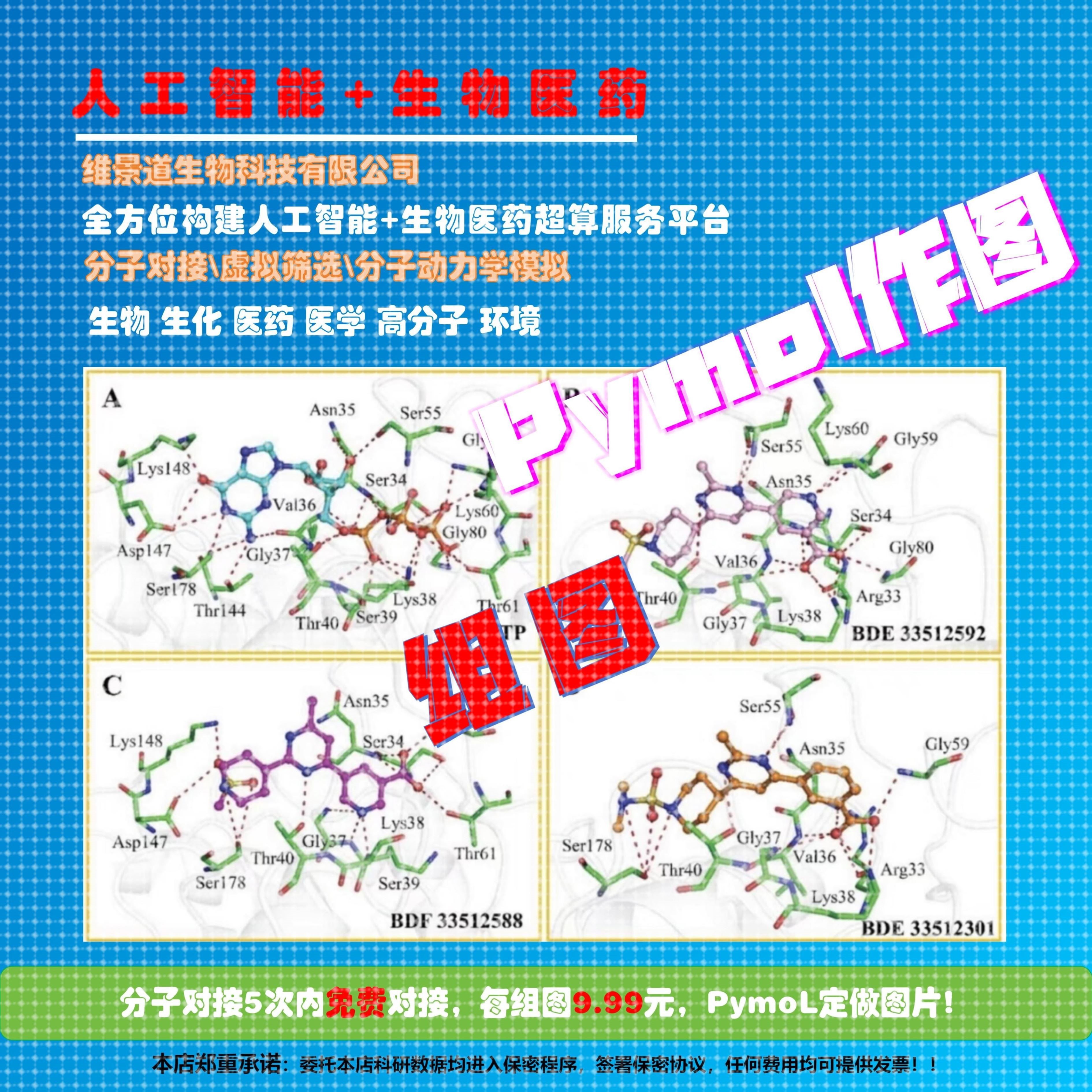 PymoL作图生物医学工程药物设计分子对接虚拟筛选计算化学模拟