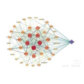 分子对接 教学 富集分析 网络药理学 PPI拓扑分析 聚类分析