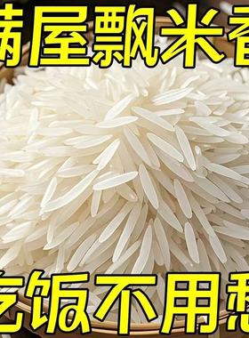 【特价】正宗长粒香丝苗米猫牙米晚稻新米优质农家大米清仓粮食长