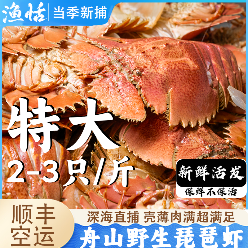 活发舟山鲜活琵琶虾特大新鲜皮皮虾扇虾东海虾姑（保鲜不保活）