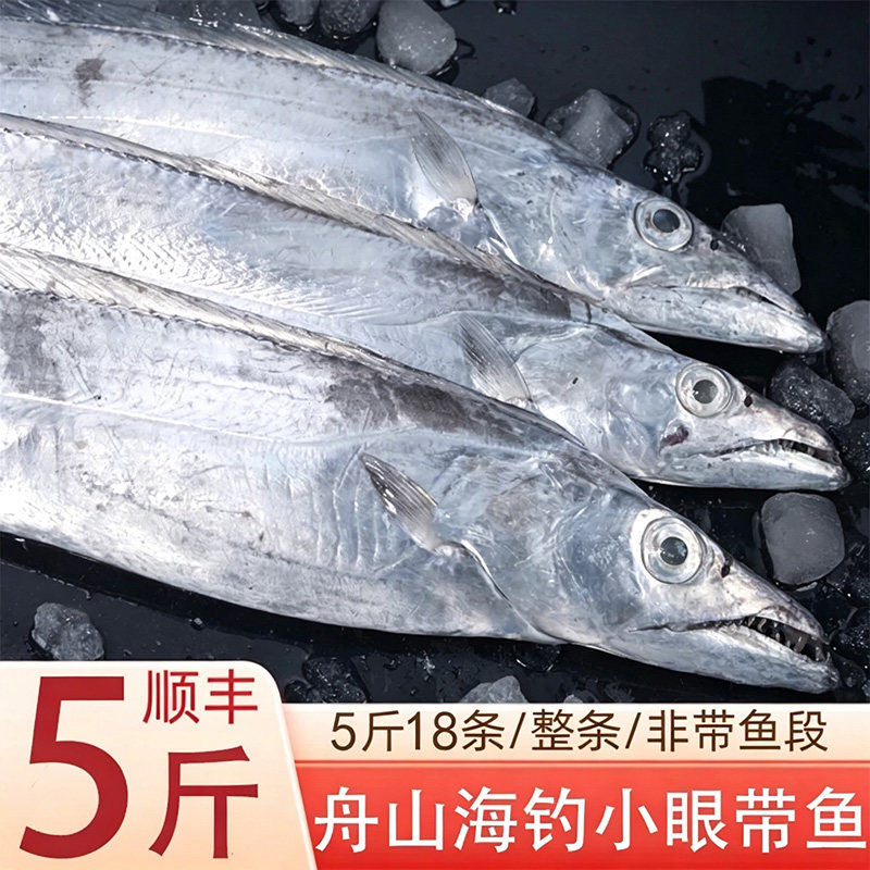 舟山带鱼海钓冷冻小眼带鱼