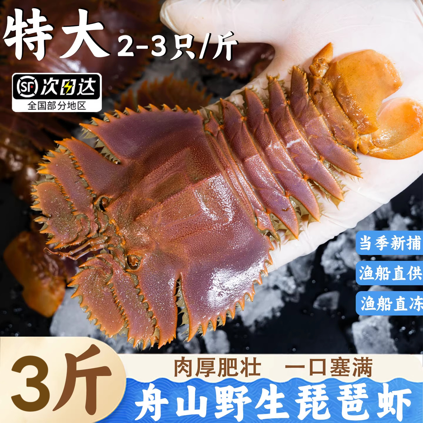舟山琵琶虾新鲜冷冻琵琶虾皮皮虾虾姑爬虾海虾海鲜虾爬子九齿扇虾