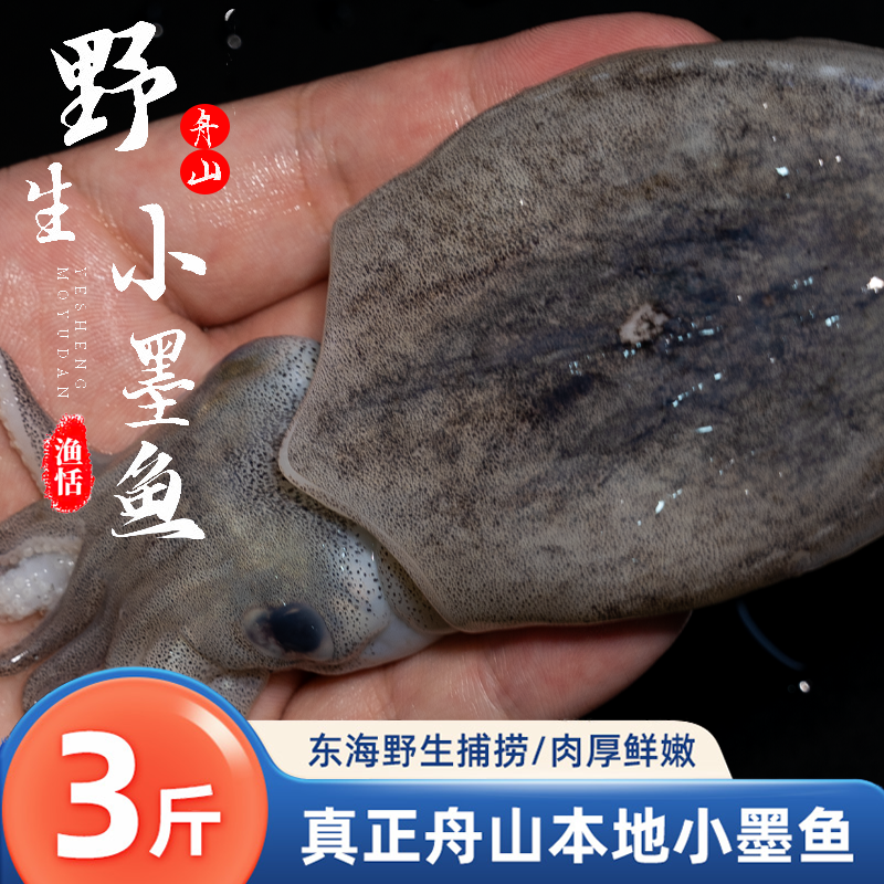 3斤新鲜舟山墨鱼海捕海鲜水产鲜冻墨鱼仔冷冻小墨鱼鲜活鲜冻乌贼