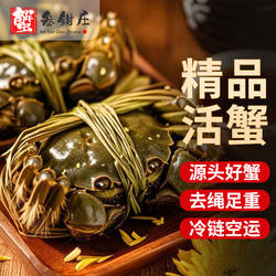 【全母蟹活蟹】螃蟹鲜活大闸蟹全母蟹河蟹现货礼盒官方旗舰店