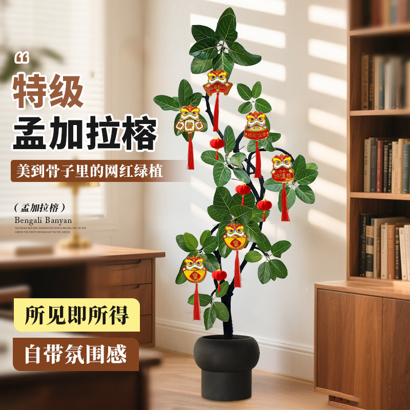 孟加拉榕客厅绿植高级感室内大型植物盆栽黄金榕轻奢办公室好养活,鲜花速递/花卉仿真/绿植园艺,大型绿植/成品组合盆栽,淘宝优惠券,粉丝福利购,淘宝优惠卷