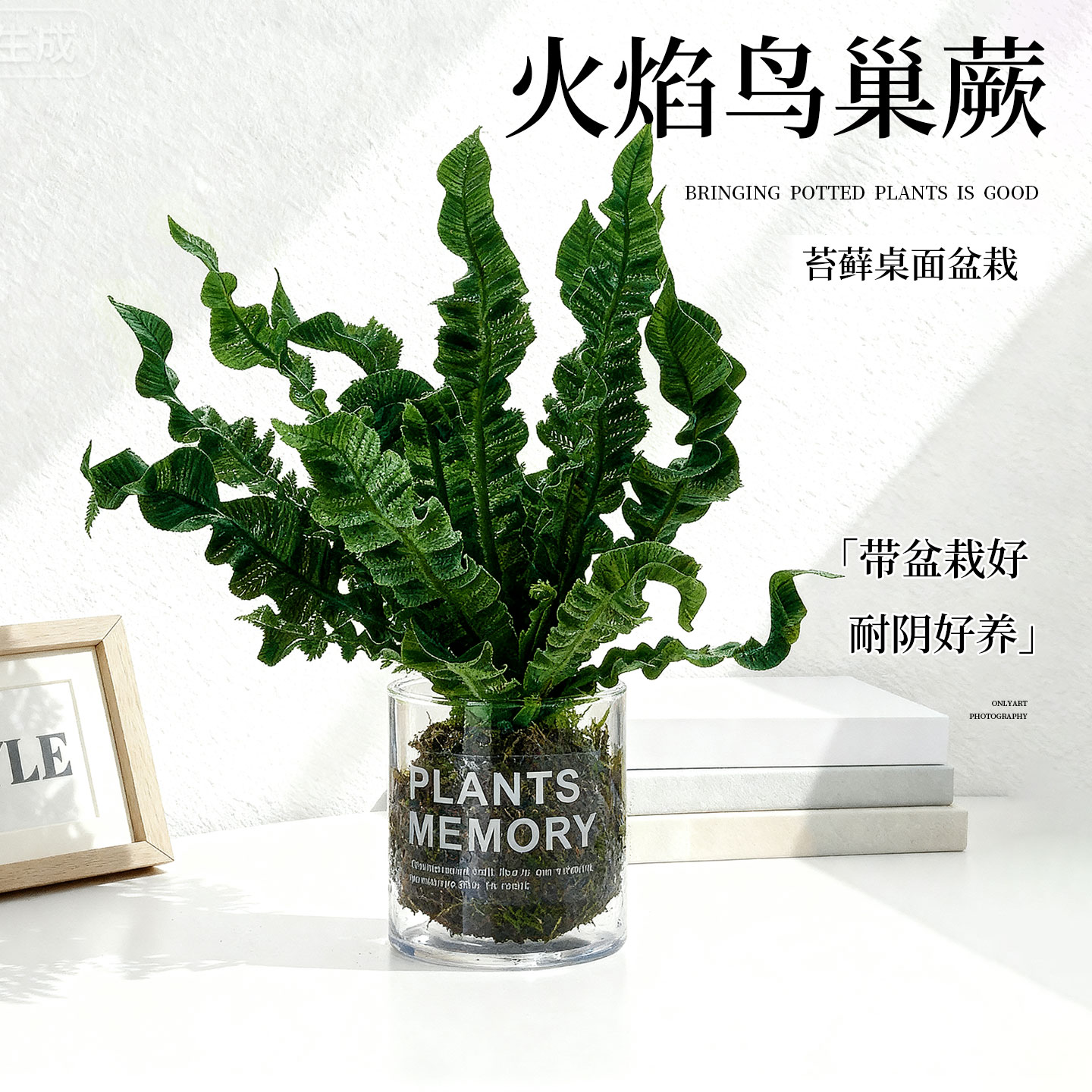 ins风客厅生日礼物办公室