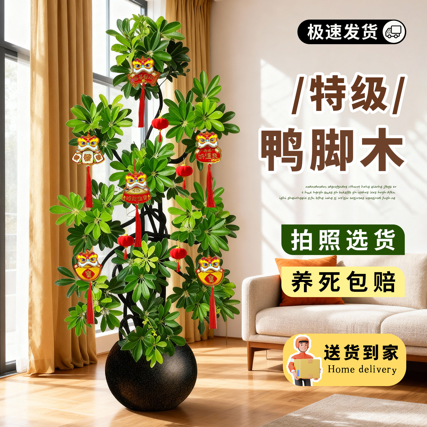 鸭脚木客厅轻奢大型绿植乔迁新居造型落地盆栽落地鹅掌柴四季常青,鲜花速递/花卉仿真/绿植园艺,大型绿植/成品组合盆栽,淘宝优惠券,粉丝福利购,淘宝优惠卷