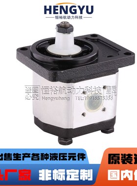 西班牙ROQUET齿轮泵1L6D 1LQ7.5D 1PLD54 1PLA36D 1LP7.5液压油泵