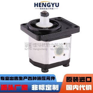 1PLA36D 1PLD54 1LP7.5液压油泵 1LQ7.5D 西班牙ROQUET齿轮泵1L6D