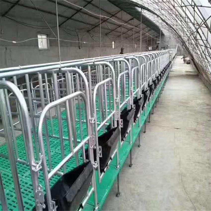 落地式母猪产床猪用定位栏限位栏养猪场带食槽养猪设备母猪定位栏