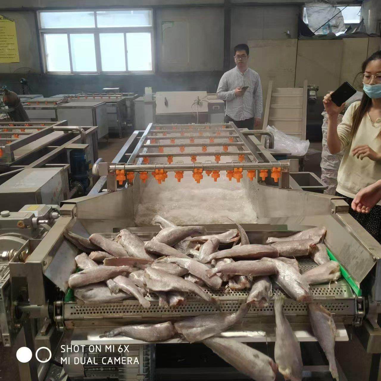 自动气泡清洗机不锈钢商用果蔬清洗机果蔬清洗机洗菜机,清洗/食品/商业设备,其他食品加工设备,淘宝优惠券,粉丝福利购,淘宝优惠卷