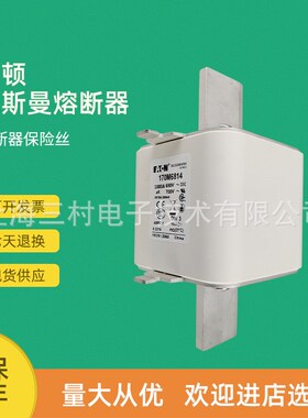 全新原装快速熔断器保险丝170M6926 170M6927 170M6928 170M6929