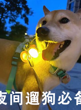 狗狗晚上外出防走丢遛狗灯