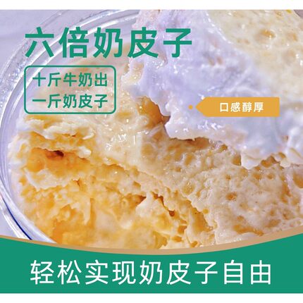 内蒙奶皮子超级加倍7倍plus老酸奶古法工艺两层皮子酸奶顺丰