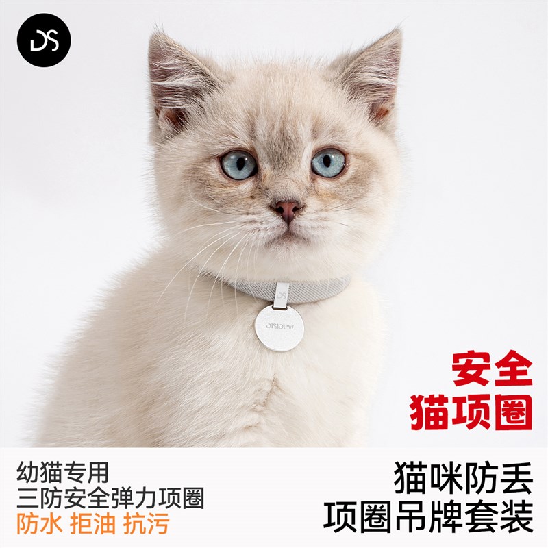 猫咪项圈防窒息防丢失猫牌宠物弹力安全猫项圈幼猫专用定制吊牌