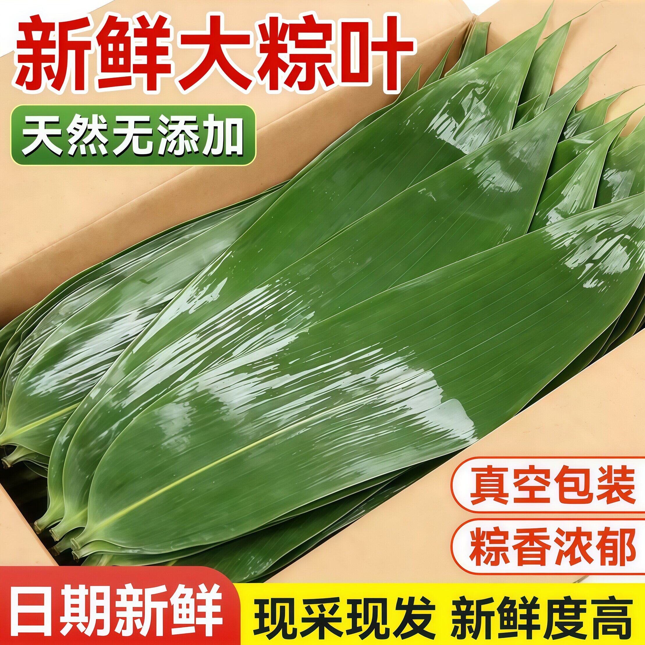 粽叶新鲜粽子叶大号包粽子端午节专用特大野生粽叶批发商用旗舰店