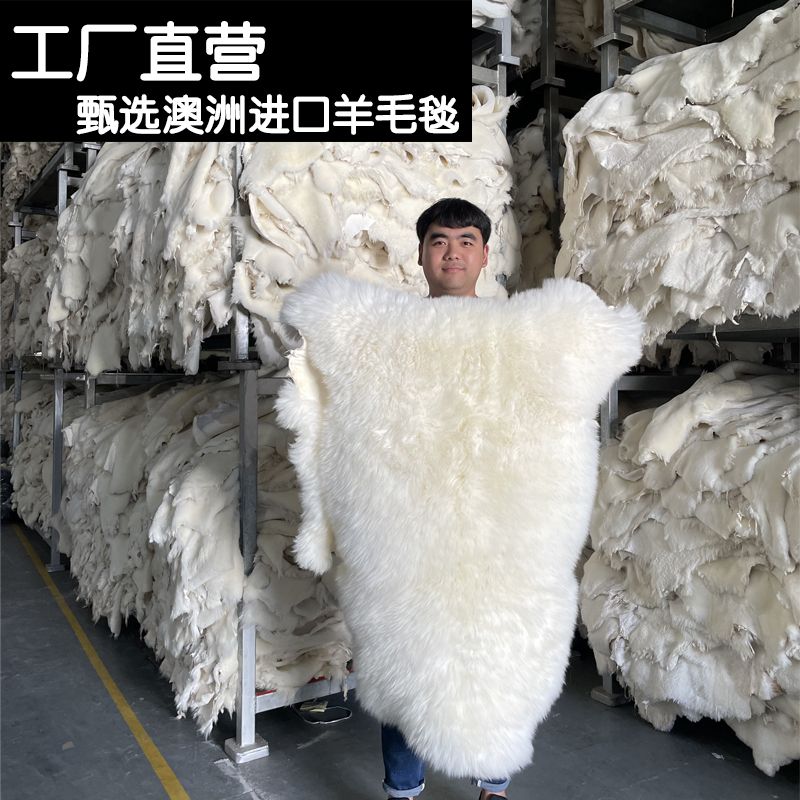 澳洲纯羊毛坐垫客厅羊毛沙发垫飘窗垫羊皮毛一体地垫整张羊皮地毯