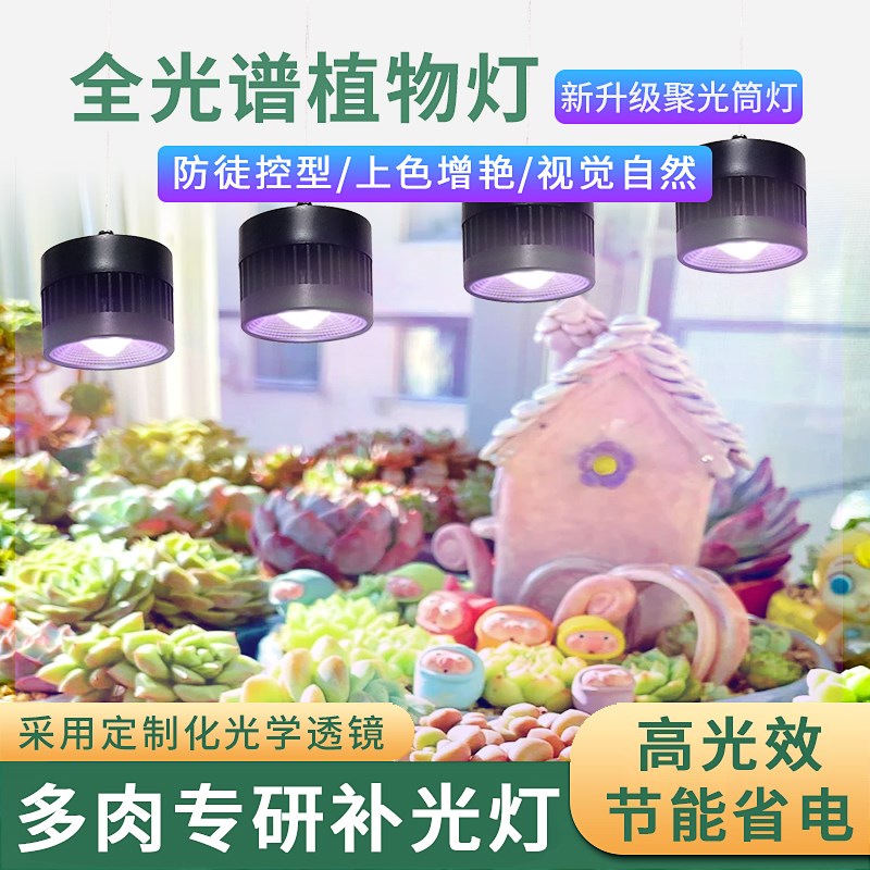 全光谱聚光透镜筒灯LED多肉补光灯上色防徒植物生长仿太阳补光灯