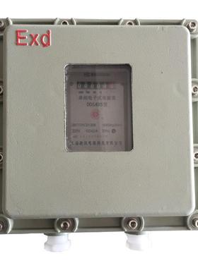 防爆电表箱防爆仪表箱BXK5排污泵防爆箱防爆箱BXK防爆操作箱
