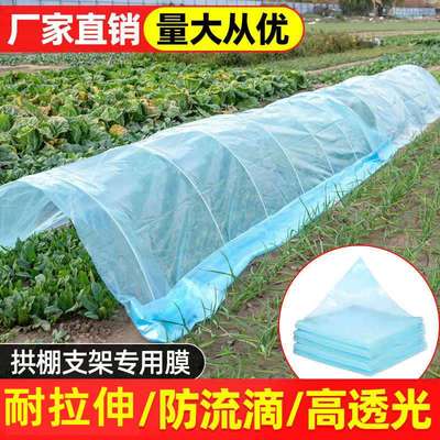 农用大棚膜小拱膜菜棚塑料膜保温加厚防寒透明薄膜蔬菜拱棚膜暖棚