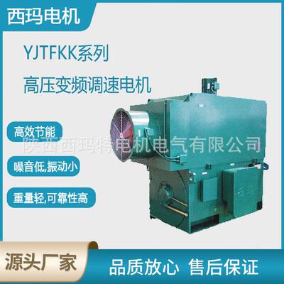 西安电机YJTF800-16极800W10V高压变频三相异步电动机厂