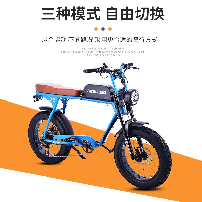 2电动山地自行车助力锂电v雪地车20寸雪地胖胎变速电动自行车