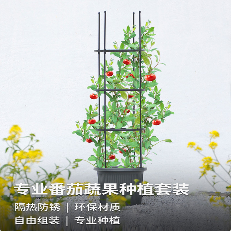 番茄蔬果架套装花架欧式花风车花月季花攀爬家P用植物架花支架简