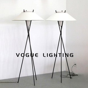 轻奢落地灯客厅沙发旁边的立式高级设计感卧室床头侘寂风台灯网红