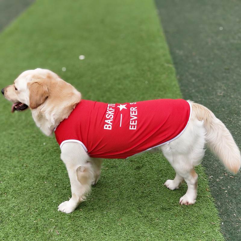 夏天大型犬狗狗衣服金毛衣服边牧拉布拉多萨摩耶大狗衣服薄款