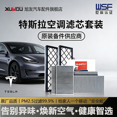 特斯拉ModelY内外置6片空调滤芯