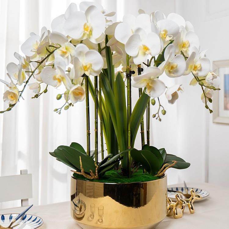 大型仿真蝴蝶兰插花塑料假花艺大盆栽室内客厅电视柜装饰摆件摆设