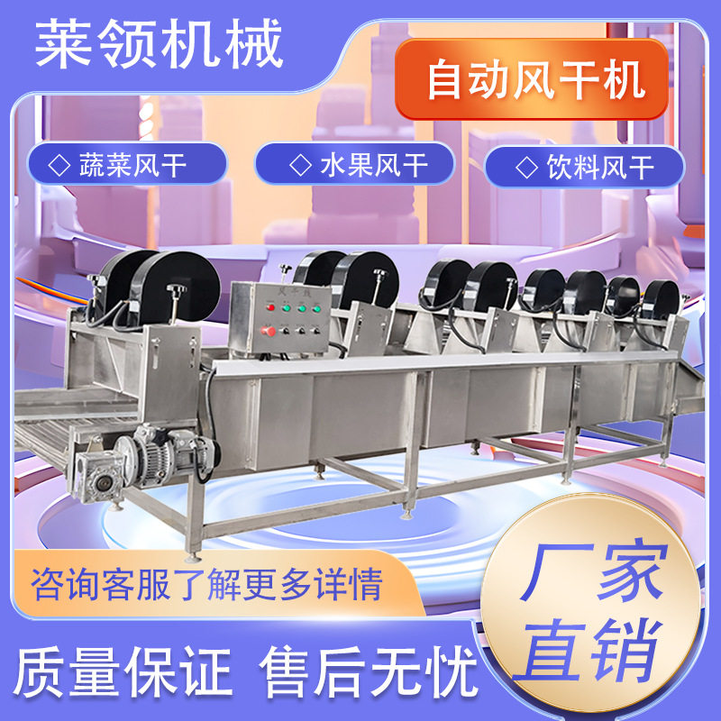 大枣翻转式沥水机 包装袋沥水风干机 多功能豆角清洗风干流水线