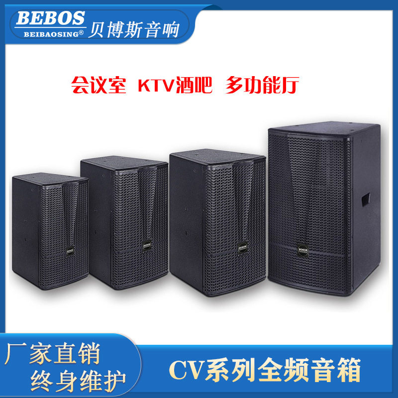 CV系列8寸10寸12寸15寸专 业舞台会议室音箱主扩补声工程全频音响