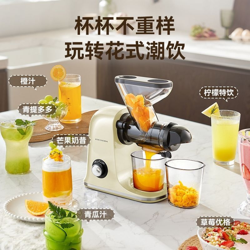 家用低速自动汁渣分离原汁机