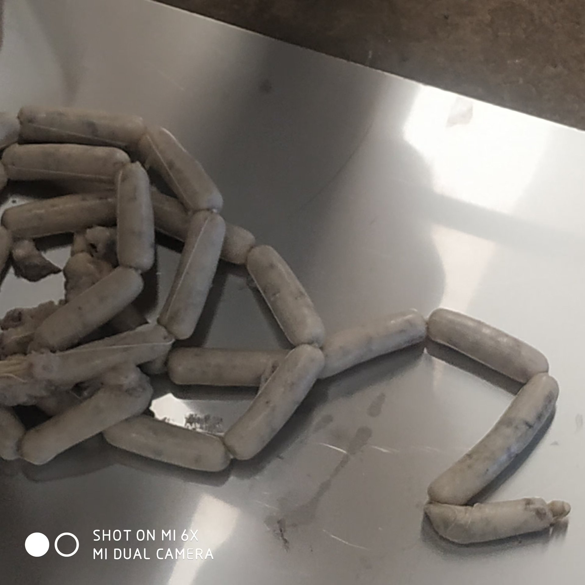 立式大容量肠类灌肠机