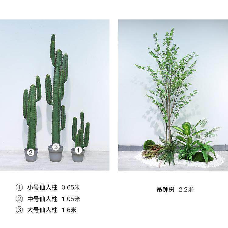 仿真绿植仙人柱仙人球新款超逼真品质仙人掌摆放花艺沙漠单只/束