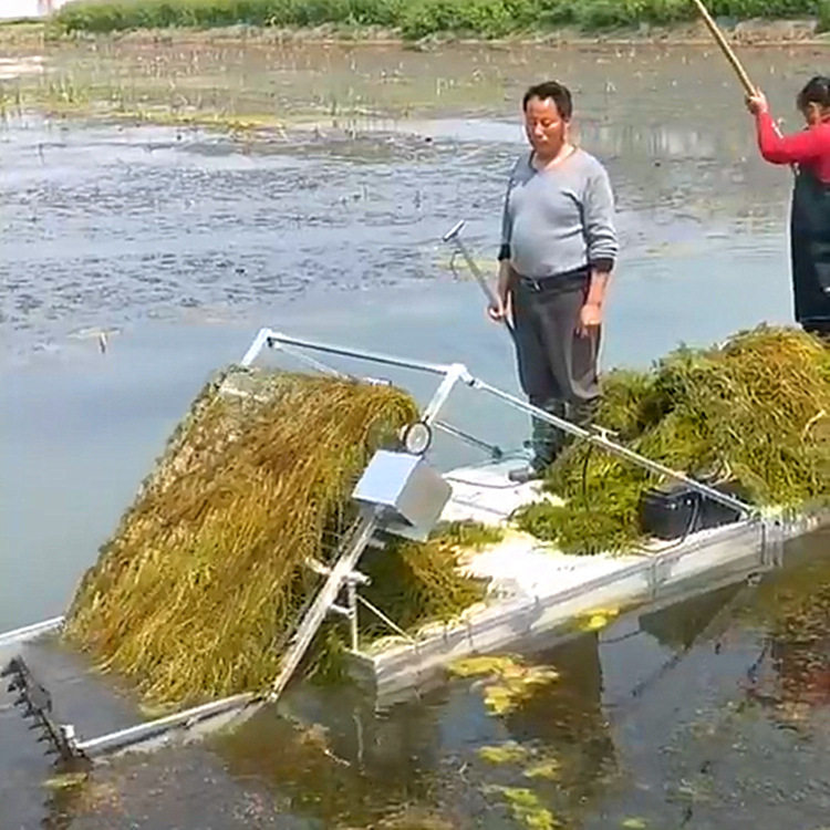 半自动微型保洁船杂草打捞收割一体船景区湖面小型垃圾清洁船
