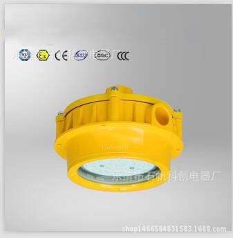 BPC8762防爆平台灯15W