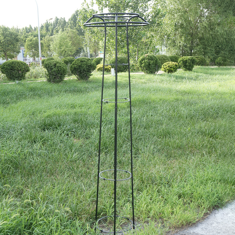 铁艺花架户外爬藤铁架庭院花园装饰爬藤架线莲月季蔷薇架子