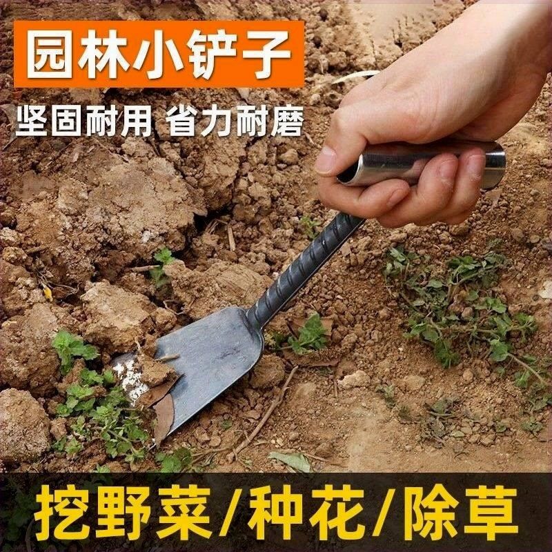 家用挖野菜小铲子挖草药种菜除草挖土菜园花园艺园林用具农用工具,鲜花速递/花卉仿真/绿植园艺,铲子,淘宝优惠券,粉丝福利购,淘宝优惠卷