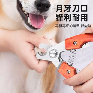 狗狗指甲剪宠物指甲剪金毛大型犬指甲剪狗剪指甲专用剪刀剪甲神器