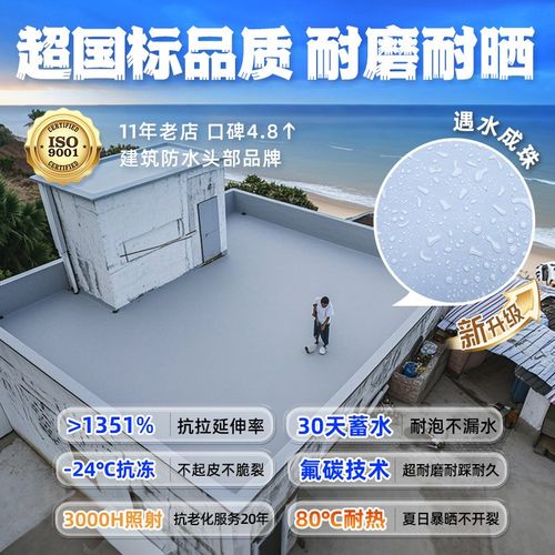 莱仕德楼顶防水补漏专用涂料屋顶房顶堵漏王外墙裂缝渗水漏水防漏