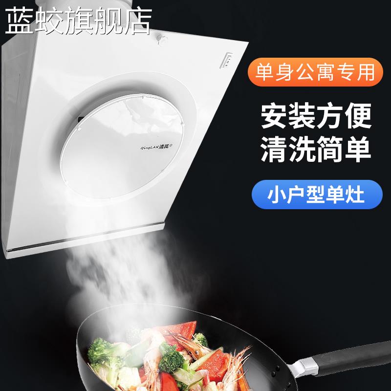 蓝蛟出租房公寓小型迷你厨房抽油烟机壁挂式吸油烟机强力排气扇排烟扇摆件饰品