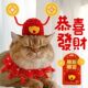 宠物财神爷帽子猫咪招财帽过年喜庆手工针织头套小狗狗拍照变装 帽