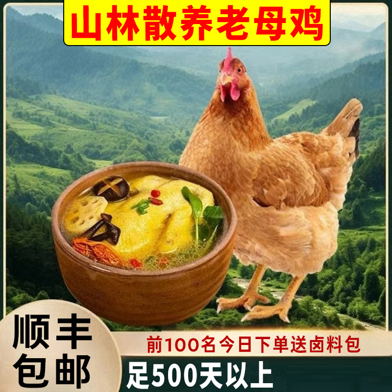 【顺丰包邮】冰鲜农家散养母鸡生鲜整鸡500天2年老母鸡月子鸡营养