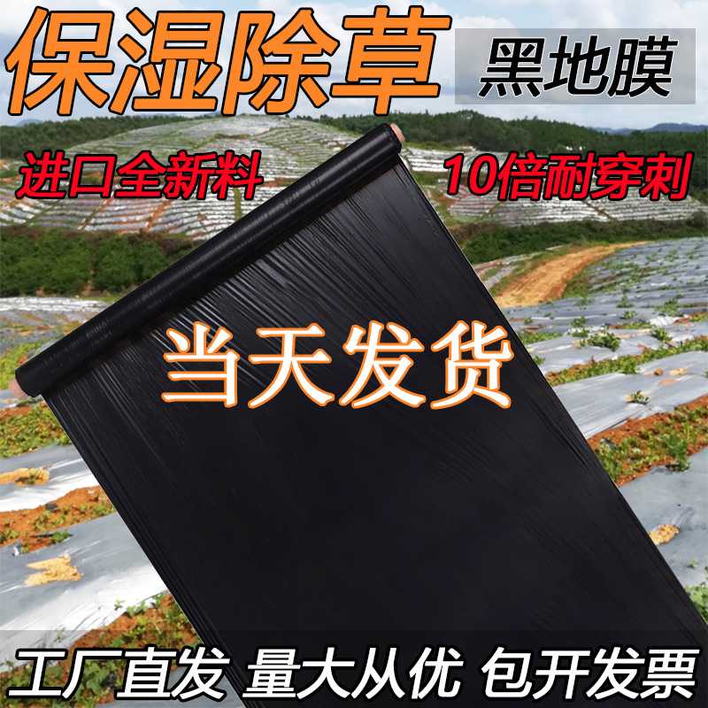 农用加厚黑色地膜除草膜薄膜果树果园蔬菜R大棚草莓银黑地膜