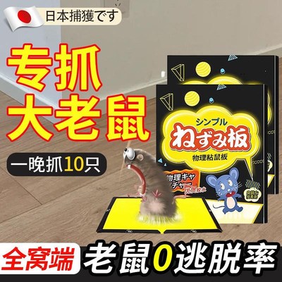 超强力粘鼠板捉粘大老鼠贴沾胶抓灭鼠老鼠贴超强杀鼠家用捕鼠神器