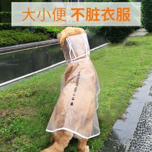 whtole Golden Large raincoat Border Samoyed dog package