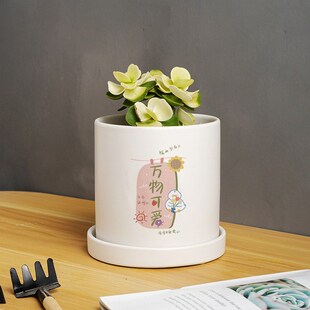 轻奢家用可爱创意多肉绿植盆x栽吊兰绿萝专用陶瓷花盆营养土带托